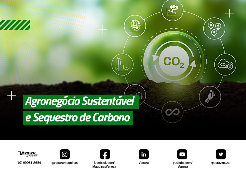 Agronegócio Sustentável e Sequestro de Carbono